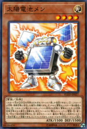 FLOD-JP027 | Batteryman Solar | Common