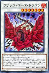 This is an image for the product Black Rose Dragon that has a rarity of Normal Parallel Rare in the 20th Anniversary Pack 2nd Wave with a card code of 20AP-JP067 that is available on the TEKKX Product website.