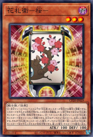CP20-JP029 | Flower Cardian Cherry Blossom | Common