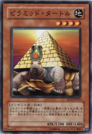 SD15-JP010 | Pyramid Turtle | Common