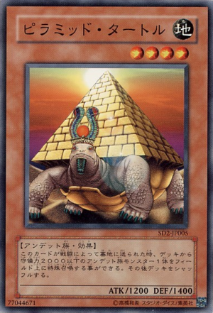 SD2-JP005 | Pyramid Turtle | Common