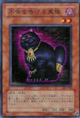 This is an image for the product A Cat of Ill Omen that has a rarity of Common in the The New Ruler with a card code of 301-018 that is available on the TEKKX Product website.