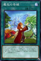 This is an image for the product Adamancipator Friends that has a rarity of Common in the Rise of the Duelist with a card code of ROTD-JP061 that is available on the TEKKX Product website.