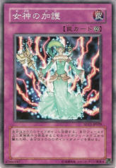 This is an image for the product Aegis of Gaia that has a rarity of Common in the Structure Deck: Surge of Radiance with a card code of SD11-JP029 that is available on the TEKKX Product website.