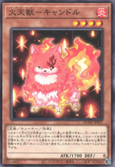 This is an image for the product Agnimal Candle that has a rarity of Common in the Duelist Nexus with a card code of DUNE-JP027 that is available on the TEKKX Product website.