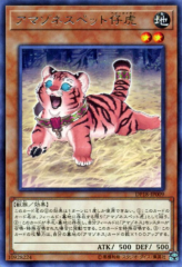 This is an image for the product Amazoness Baby Tiger that has a rarity of Rare in the Duelist Pack: Legend Duelist with a card code of DP18-JP009 that is available on the TEKKX Product website.