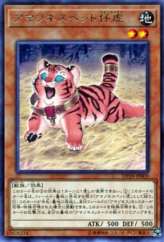 This is an image for the product Amazoness Baby Tiger that has a rarity of Rare in the Duelist Pack: Legend Duelist with a card code of DP18-JP009 that is available on the TEKKX Product website.