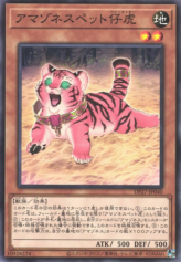 This is an image for the product Amazoness Baby Tiger that has a rarity of Common in the Duelist Pack: Duelists of Pyroxene with a card code of DP27-JP040 that is available on the TEKKX Product website.