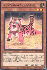 This is an image for the product Amazoness Baby Tiger that has a rarity of Common in the Duelist Pack: Duelists of Pyroxene with a card code of DP27-JP040 that is available on the TEKKX Product website.