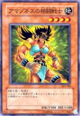 This is an image for the product Amazoness Fighter that has a rarity of Common in the Champion of Black Magic with a card code of 303-006 that is available on the TEKKX Product website.