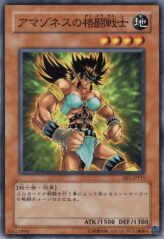 This is an image for the product Amazoness Fighter that has a rarity of Common in the Expert Edition Volume.1 with a card code of EE1-JP115 that is available on the TEKKX Product website.