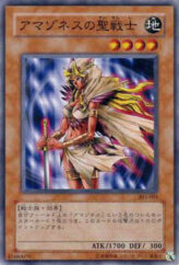 This is an image for the product Amazoness Paladin that has a rarity of Common in the Champion of Black Magic with a card code of 303-005 that is available on the TEKKX Product website.