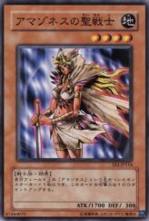 This is an image for the product Amazoness Paladin that has a rarity of Common in the Expert Edition Volume.1 with a card code of EE1-JP114 that is available on the TEKKX Product website.