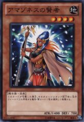 This is an image for the product Amazoness Sage that has a rarity of Common in the Duelist Revolution with a card code of DREV-JP030 that is available on the TEKKX Product website.