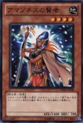 This is an image for the product Amazoness Sage that has a rarity of Common in the Duelist Revolution with a card code of DREV-JP030 that is available on the TEKKX Product website.