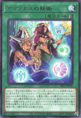 This is an image for the product Amazoness Secret Arts that has a rarity of Rare in the Duelist Pack: Duelists of Pyroxene with a card code of DP27-JP036 that is available on the TEKKX Product website.