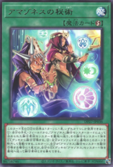 This is an image for the product Amazoness Secret Arts that has a rarity of Rare in the Duelist Pack: Duelists of Pyroxene with a card code of DP27-JP036 that is available on the TEKKX Product website.