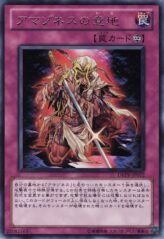 This is an image for the product Amazoness Willpower that has a rarity of Rare in the Duelist Revolution with a card code of DREV-JP072 that is available on the TEKKX Product website.