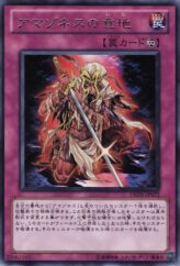 This is an image for the product Amazoness Willpower that has a rarity of Rare in the Duelist Revolution with a card code of DREV-JP072 that is available on the TEKKX Product website.