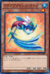 This is an image for the product Aquaactress Tetra that has a rarity of Common in the Collectors Pack: Duelist of Destiny Version with a card code of CPD1-JP039 that is available on the TEKKX Product website.