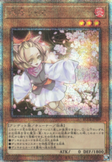 This is an image for the product Ash Blossom & Joyous Spring that has a rarity of Quarter Century Secret Rare in the Rarity Collection Quarter Century Edition with a card code of RC04-JP009 that is available on the TEKKX Product website.