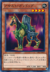 This is an image for the product Assault Dog that has a rarity of Common in the Collectors Pack: Duelist of Legend Version with a card code of CPL1-JP033 that is available on the TEKKX Product website.