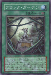 This is an image for the product Black Garden that has a rarity of Super Rare in the Crossroads of Chaos with a card code of CSOC-JP048 that is available on the TEKKX Product website.