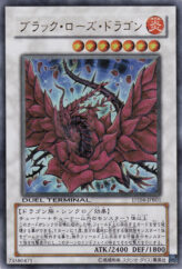 This is an image for the product Black Rose Dragon that has a rarity of Duel Terminal Ultra Parallel Rare in the Duel Terminal Acceleration Guide 2 promotional card with a card code of DT04-JPB01 that is available on the TEKKX Product website.