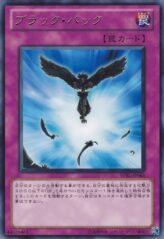 This is an image for the product Blackback that has a rarity of Rare in the Starstrike Blast with a card code of STBL-JP065 that is available on the TEKKX Product website.