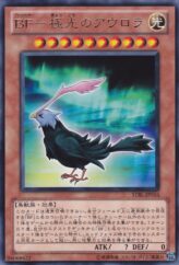 This is an image for the product Blackwing - Aurora the Northern Lights that has a rarity of Rare in the Starstrike Blast with a card code of STBL-JP016 that is available on the TEKKX Product website.