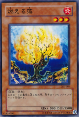 This is an image for the product Burning Algae that has a rarity of Common in the Invader of Darkness (set) with a card code of 307-007 that is available on the TEKKX Product website.