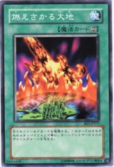 This is an image for the product Burning Land that has a rarity of Common in the Beginner's Edition 1 with a card code of BE1-JP177 that is available on the TEKKX Product website.