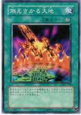 This is an image for the product Burning Land that has a rarity of Common in the Duelist Legacy Volume.3 with a card code of DL3-008 that is available on the TEKKX Product website.