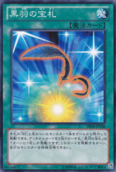 This is an image for the product Cards for Black Feathers that has a rarity of Common in the Duelist Edition Volume 4 with a card code of DE04-JP148 that is available on the TEKKX Product website.