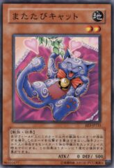 This is an image for the product Catnipped Kitty that has a rarity of Common in the Expert Edition Volume 3 with a card code of EE3-JP133 that is available on the TEKKX Product website.