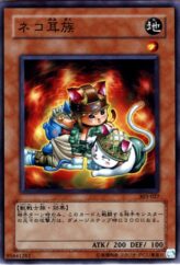 This is an image for the product Cat's Ear Tribe that has a rarity of Normal Rare in the Champion of Black Magic with a card code of 303-027 that is available on the TEKKX Product website.