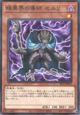 This is an image for the product Ceruli, Guru of Dark World that has a rarity of Normal Parallel Rare in the Structure Deck R: Devil's Gate with a card code of SR13-JP015 that is available on the TEKKX Product website.