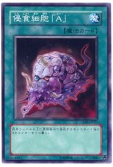 This is an image for the product Corruption Cell "A" that has a rarity of Common in the Cyberdark Impact with a card code of CDIP-JP037 that is available on the TEKKX Product website.