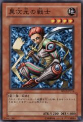 This is an image for the product D.D. Warrior that has a rarity of Common in the Structure Deck: Warriors' Strike with a card code of SD17-JP016 that is available on the TEKKX Product website.