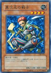 This is an image for the product D.D. Warrior that has a rarity of Common in the Structure Deck: Joey Volume 2 with a card code of SJ2-015 that is available on the TEKKX Product website.