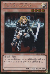 This is an image for the product D.D. Warrior Lady that has a rarity of Gold Rare in the The Gold Box with a card code of GDB1-JP044 that is available on the TEKKX Product website.