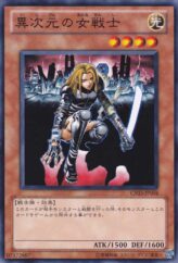 This is an image for the product D.D. Warrior Lady that has a rarity of Common in the Gold Series 2011 with a card code of GS03-JP004 that is available on the TEKKX Product website.