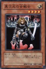 This is an image for the product D.D. Warrior Lady that has a rarity of Common in the Structure Deck: Warriors' Strike with a card code of SD17-JP012 that is available on the TEKKX Product website.