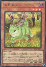 This is an image for the product Danger!? Jackalope? that has a rarity of Secret Rare in the Rarity Collection Quarter Century Edition with a card code of RC04-JP014 that is available on the TEKKX Product website.