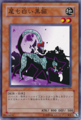 This is an image for the product Dark Cat with White Tail that has a rarity of Common in the Champion of Black Magic with a card code of 303-029 that is available on the TEKKX Product website.