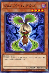 This is an image for the product Evilswarm Mandragora that has a rarity of Common in the Starter Deck 2017 with a card code of ST17-JP011 that is available on the TEKKX Product website.