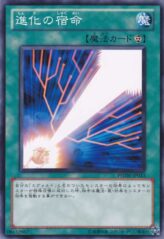 This is an image for the product Evo-Karma that has a rarity of Common in the Photon Shockwave with a card code of PHSW-JP053 that is available on the TEKKX Product website.