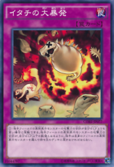 This is an image for the product Ferret Flames that has a rarity of Common in the Clash of Rebellions with a card code of CORE-JP077 that is available on the TEKKX Product website.