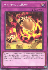 This is an image for the product Ferret Flames that has a rarity of Common in the Structure Deck: Legend of the Crystals with a card code of SD44-JP039 that is available on the TEKKX Product website.