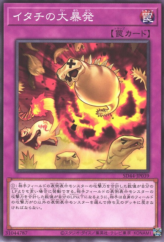 This is an image for the product Ferret Flames that has a rarity of Common in the Structure Deck: Legend of the Crystals with a card code of SD44-JP039 that is available on the TEKKX Product website.